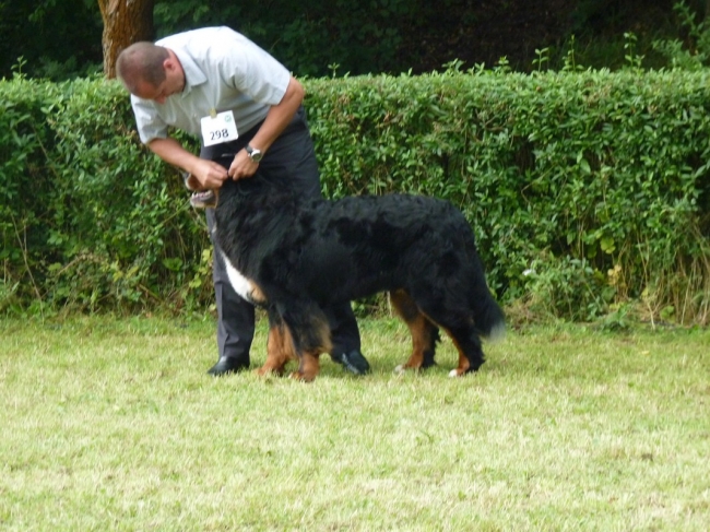 obrazek