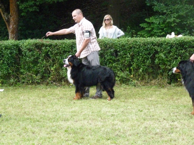 obrazek