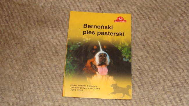 obrazek