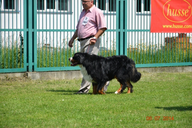 obrazek