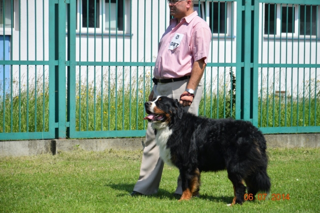 obrazek