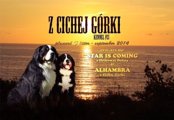 obrazek
