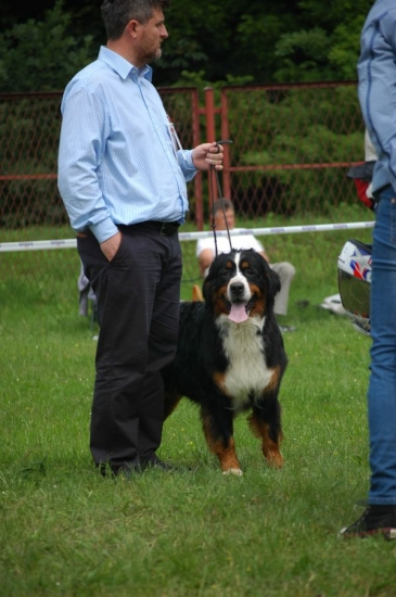 obrazek